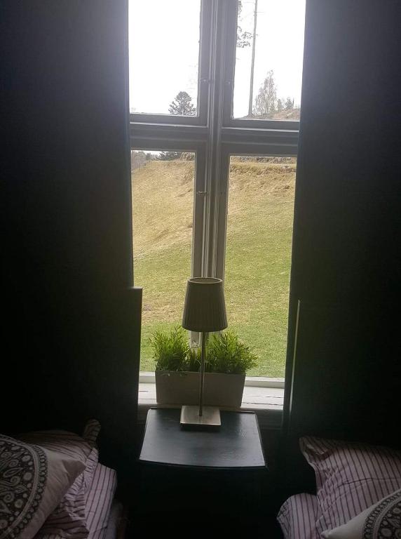 Zahrada ubytování vrangfoss slusevokterbolig