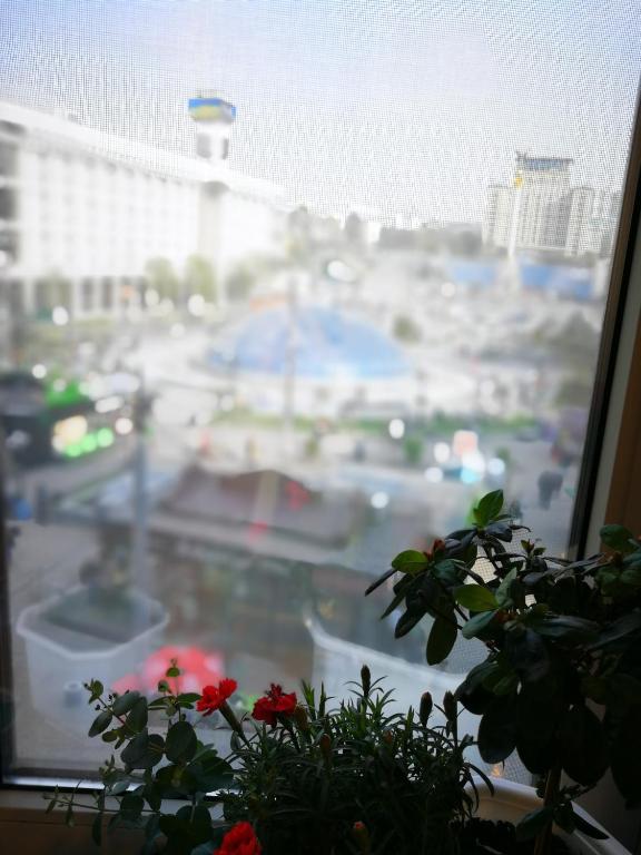 Булгакоff photo