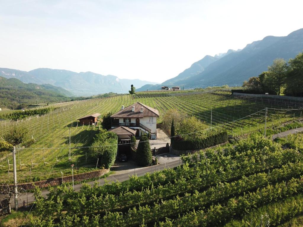 a house in the middle of a vineyard at Weingut Hochleiten in Caldaro