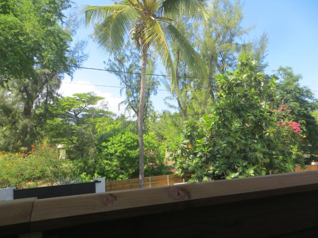 Zahrada ubytování Appart Maïthé 3 Terrasse et proximité lagon