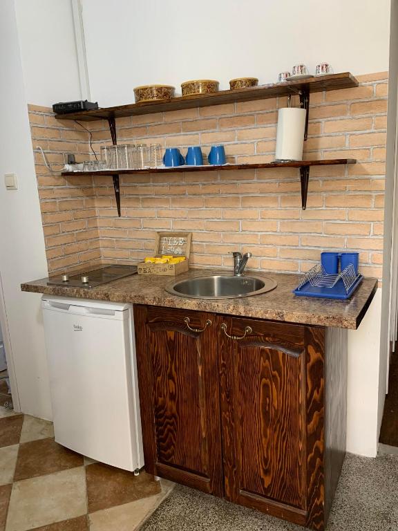 Kuchyň nebo kuchyňský kout v ubytování Viktor Rooms