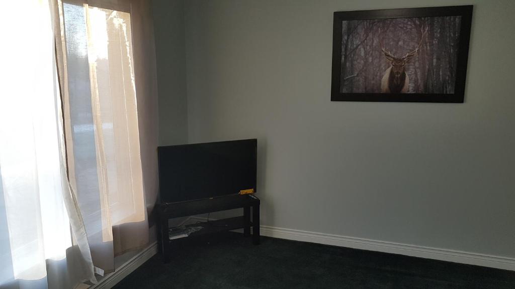 EXECUTIVE SUITES