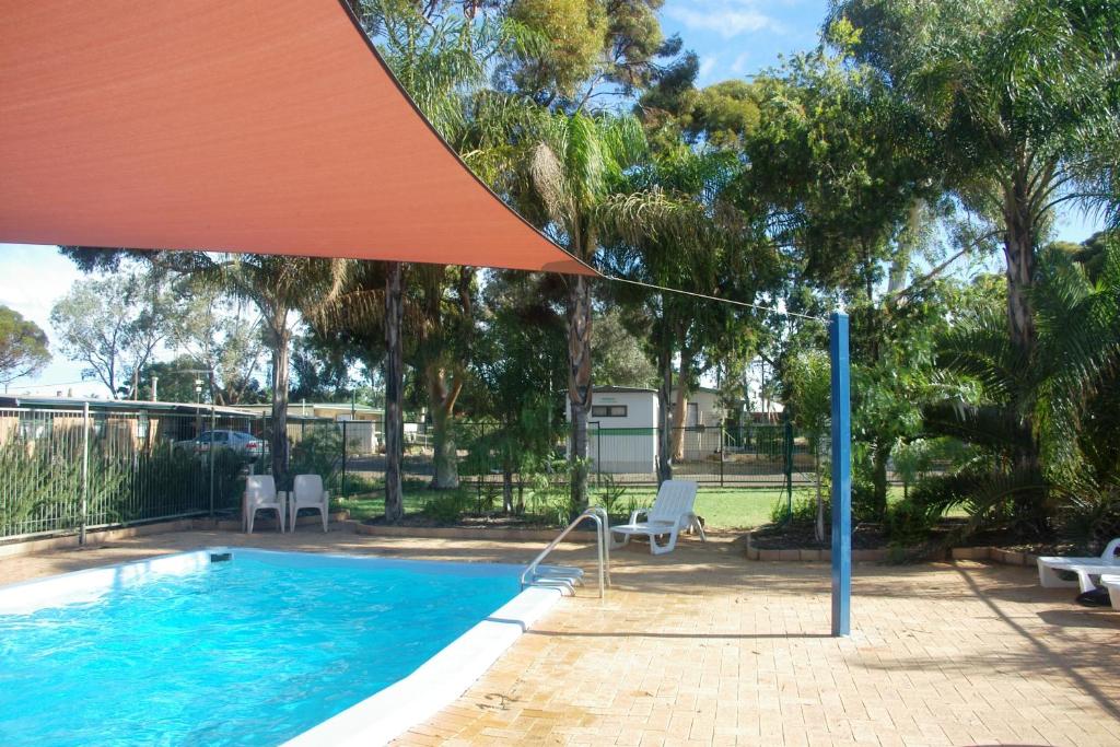 a swimming pool with an umbrella and chairs and trees at Big4 Acclaim Prospector Holiday Park in Kalgoorlie