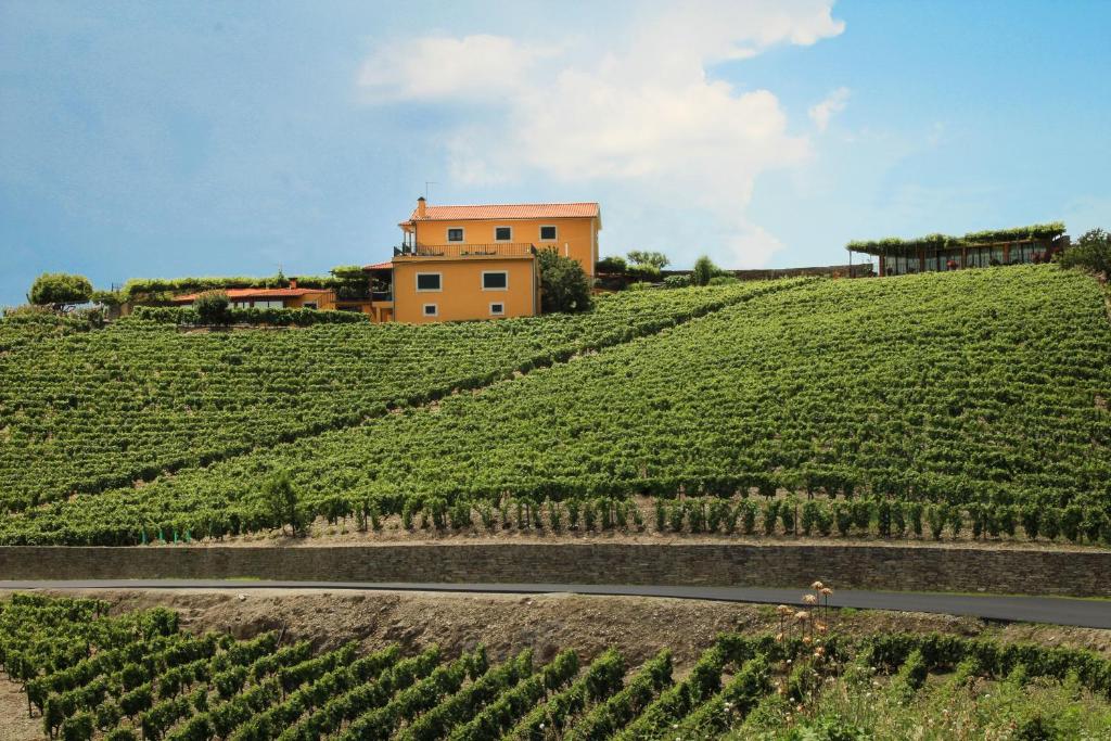 una casa in cima a una collina con viti di Casa da Seara a Casal de Loivos