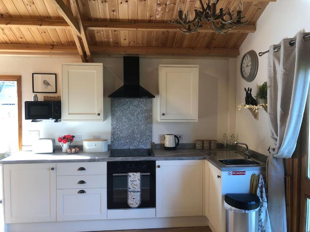 Kuchyň nebo kuchyňský kout v ubytování Cosy dog friendly lodge with an outdoor bath on the Isle of Wight