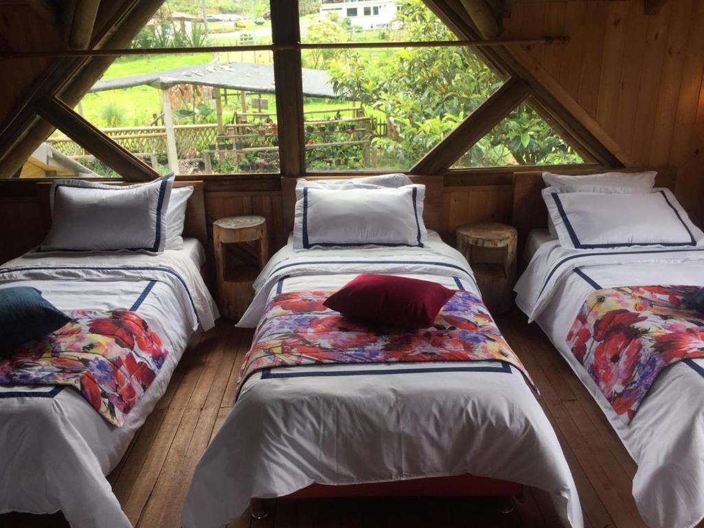 three beds in a room with a window at Palmas de Cocora in Salento