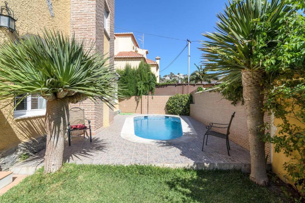 einen Hinterhof mit einem Pool zwischen zwei Palmen in der Unterkunft Habitaciones en Casa Céntrica con piscina in Almuñécar