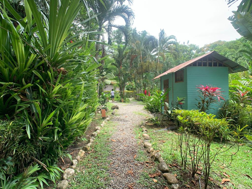 Zahrada ubytování Luna Caribeña Village