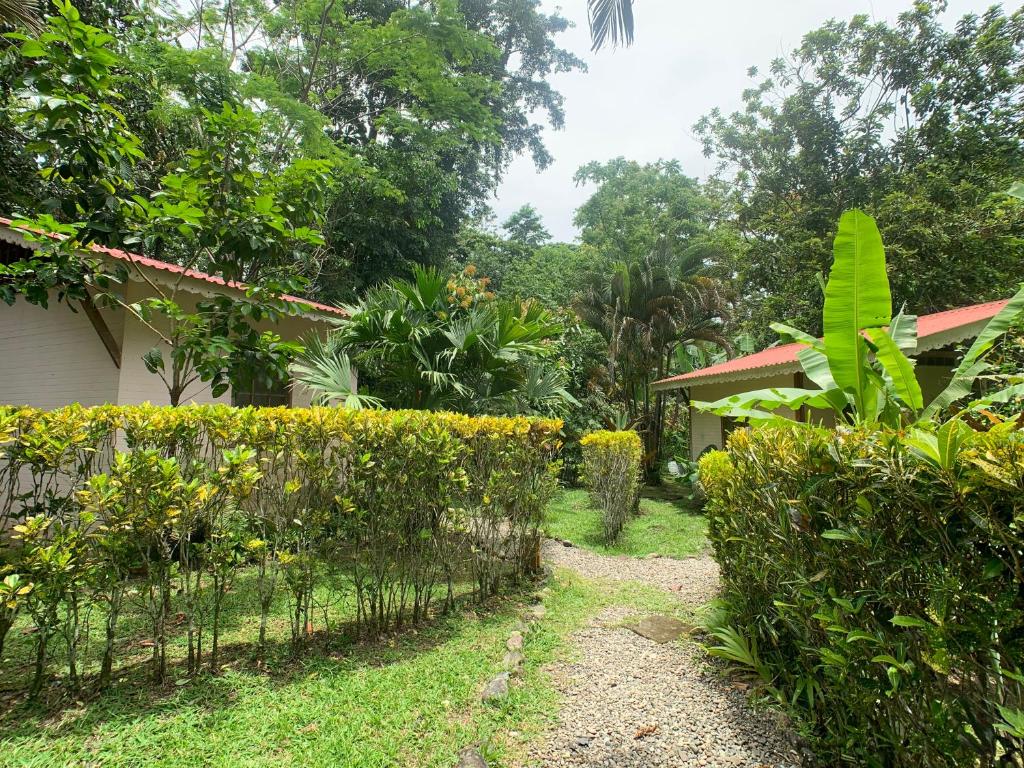 Zahrada ubytování Luna Caribeña Village