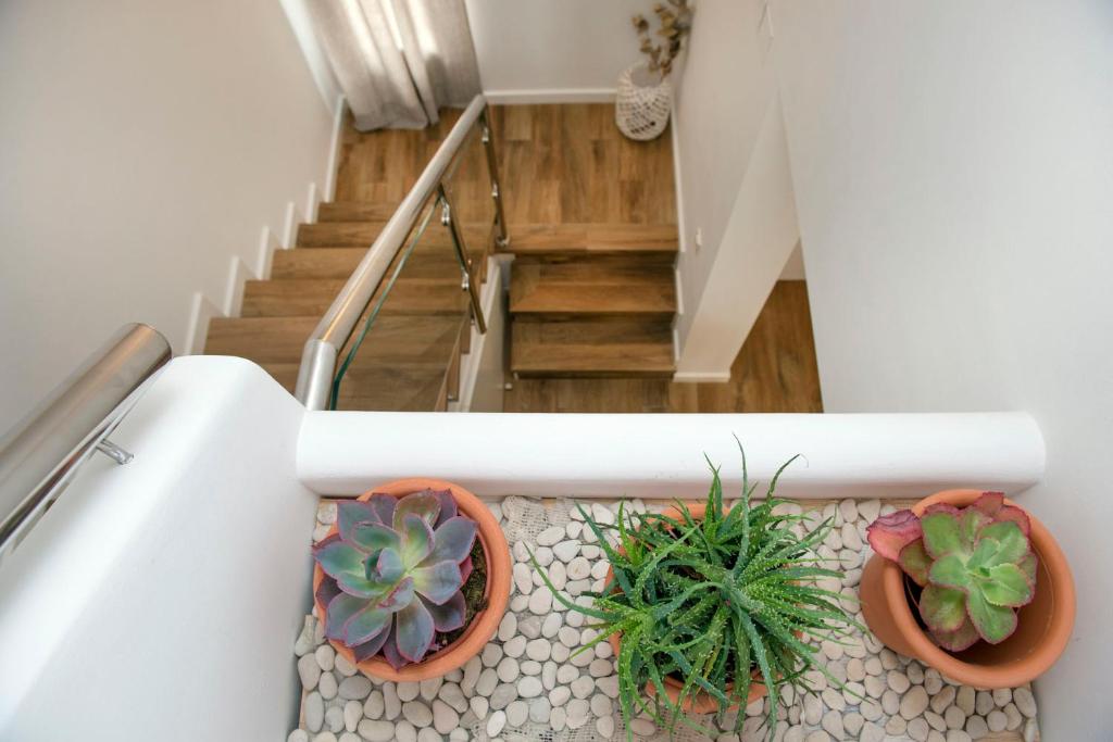 Zdjęcie z galerii obiektu La Casita del Atlántico w mieście El Rompido