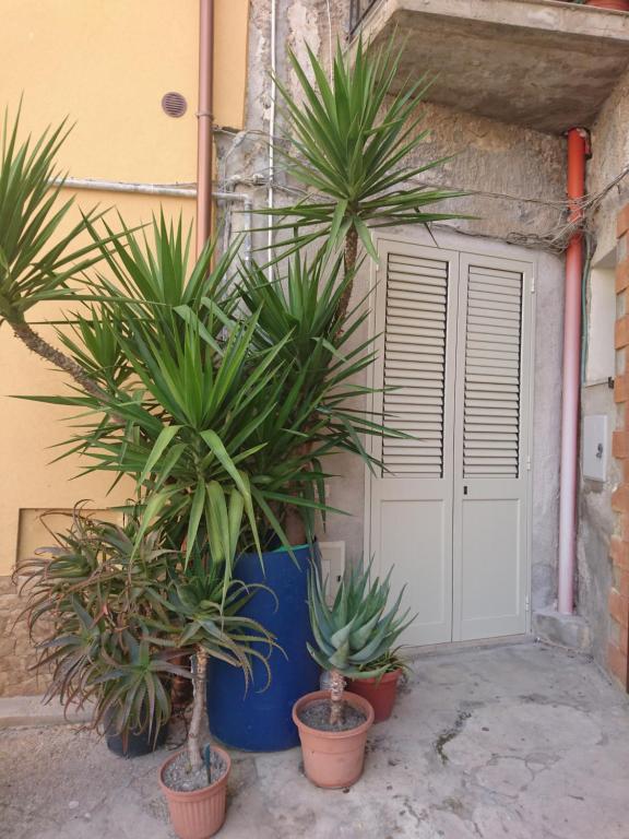 een groep potplanten voor een garage bij appartamento centro storico in Castelvetrano Selinunte