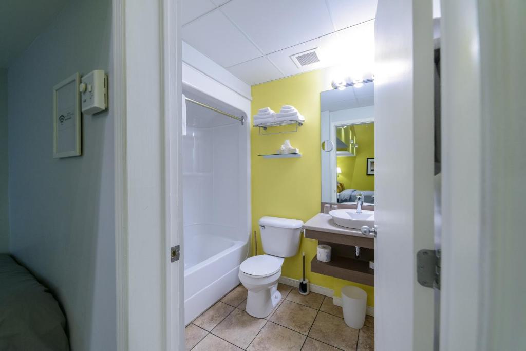 Auberge aux Deux Lions - Resim 41