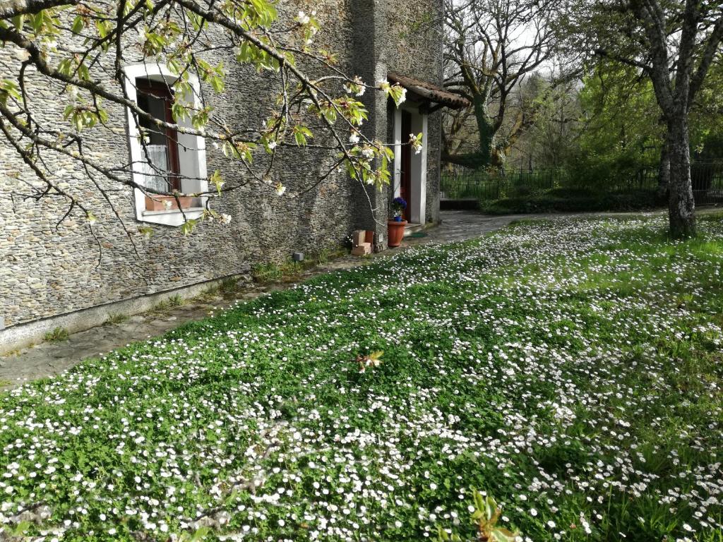 Zahrada ubytování Casa nel verde