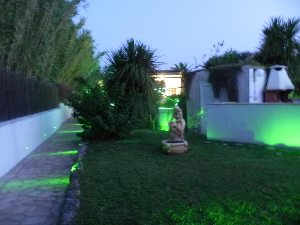 Zahrada ubytování Albergo Belvedere