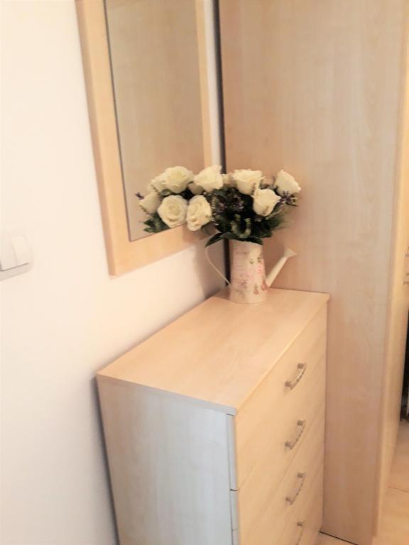 Fotografie z fotogalerie ubytování Apartment Snezhanka v destinaci Pamporovo