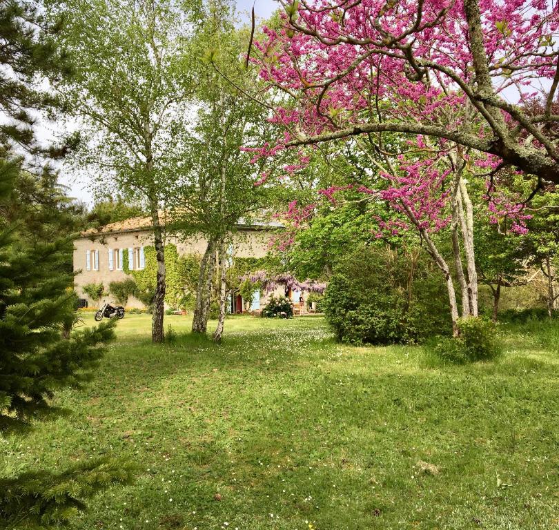 a yard with trees and a house with pink flowers at Château de Cartou in Durfort