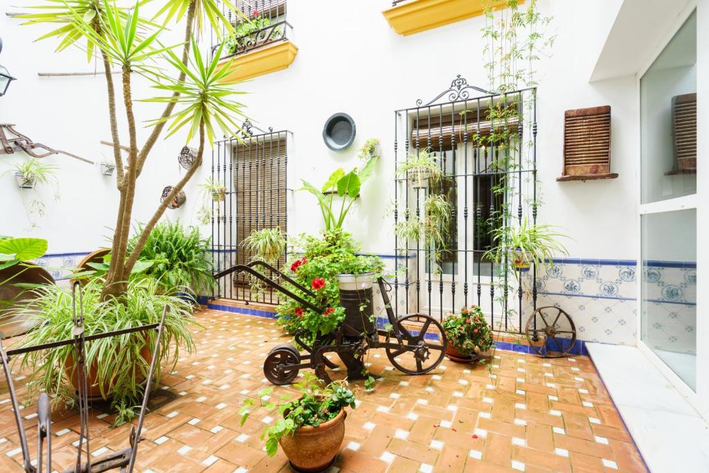 Hostal Ciudad Trigueros في Trigueros: فناء به نباتات ودراجة في مبنى