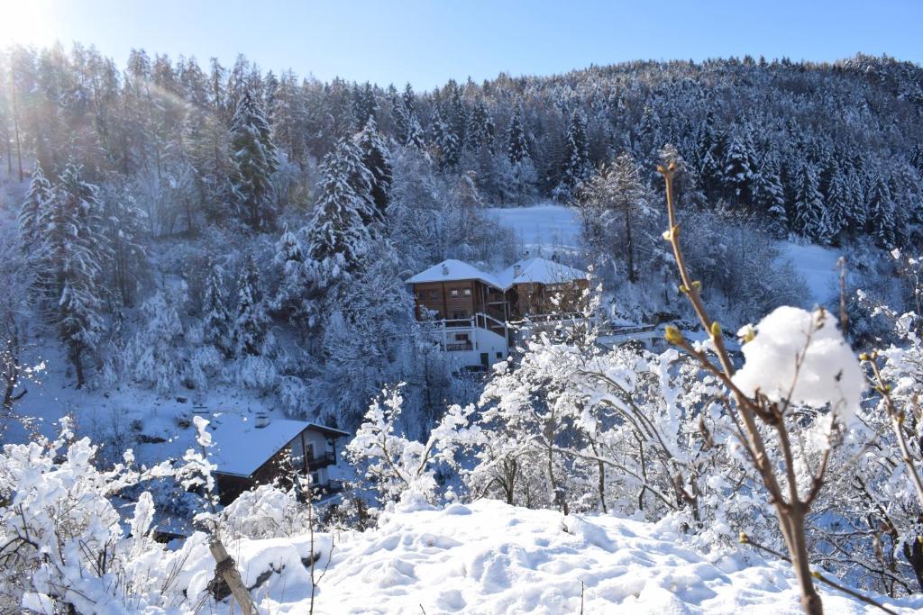 Obiekt Apartments Schlossblick - Wohnung Rosengarten zimą