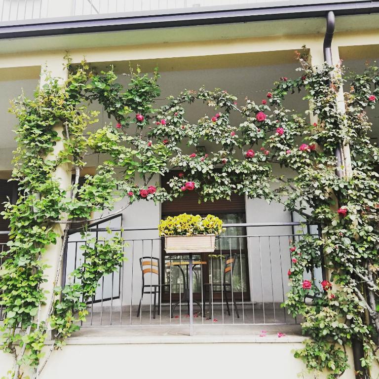 Een tuin van Hotel Fioroni