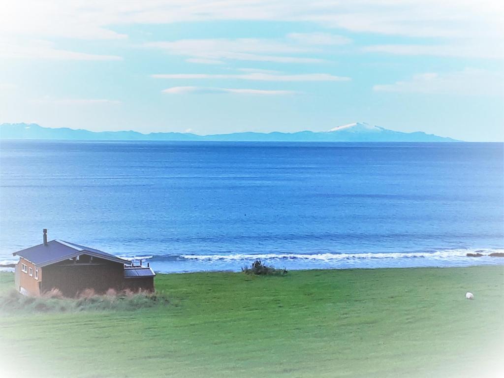 a house on the beach next to the ocean at Skjaldvararfoss sumarhús in Múli