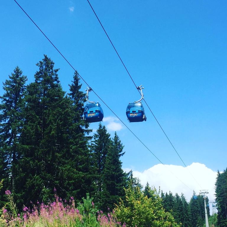 Fotografie z fotogalerie ubytování Chalet Jora - Total Chalets v destinaci Bansko