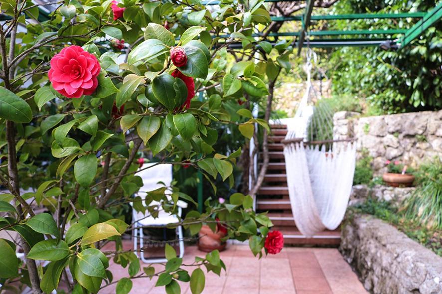 Vonkajšia záhrada v ubytovaní Sunny Garden