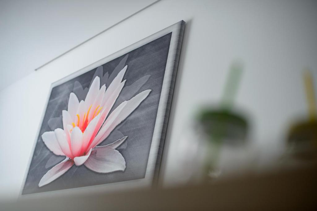 APARTAMENT PRZYTULNY - 11