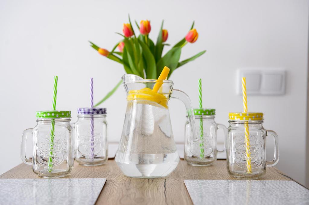 APARTAMENT PRZYTULNY - 12