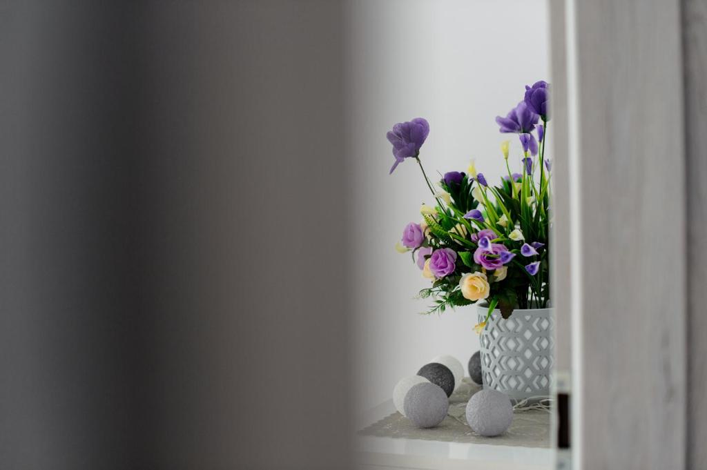 APARTAMENT PRZYTULNY - 15