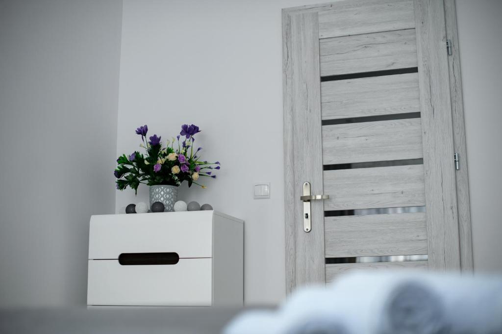 APARTAMENT PRZYTULNY - 18