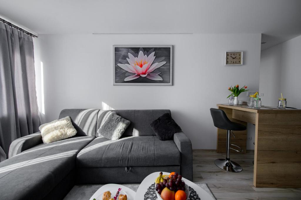 APARTAMENT PRZYTULNY - 19