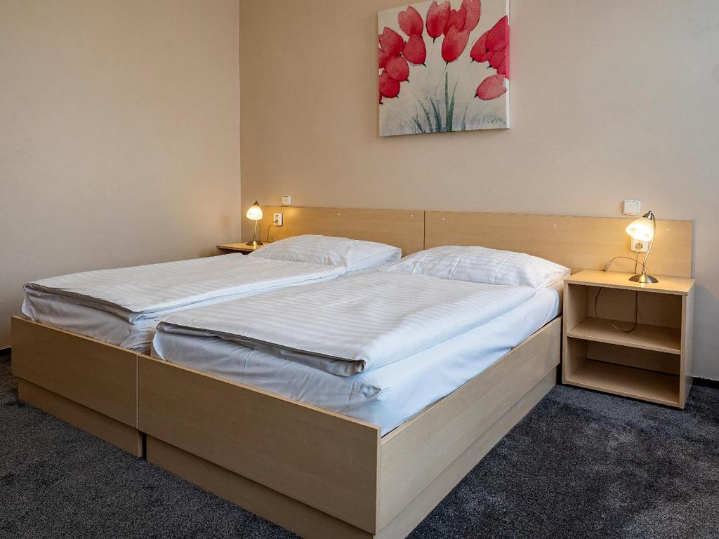 Un pat sau paturi într-o cameră la Hotel Olympia Česká Lípa