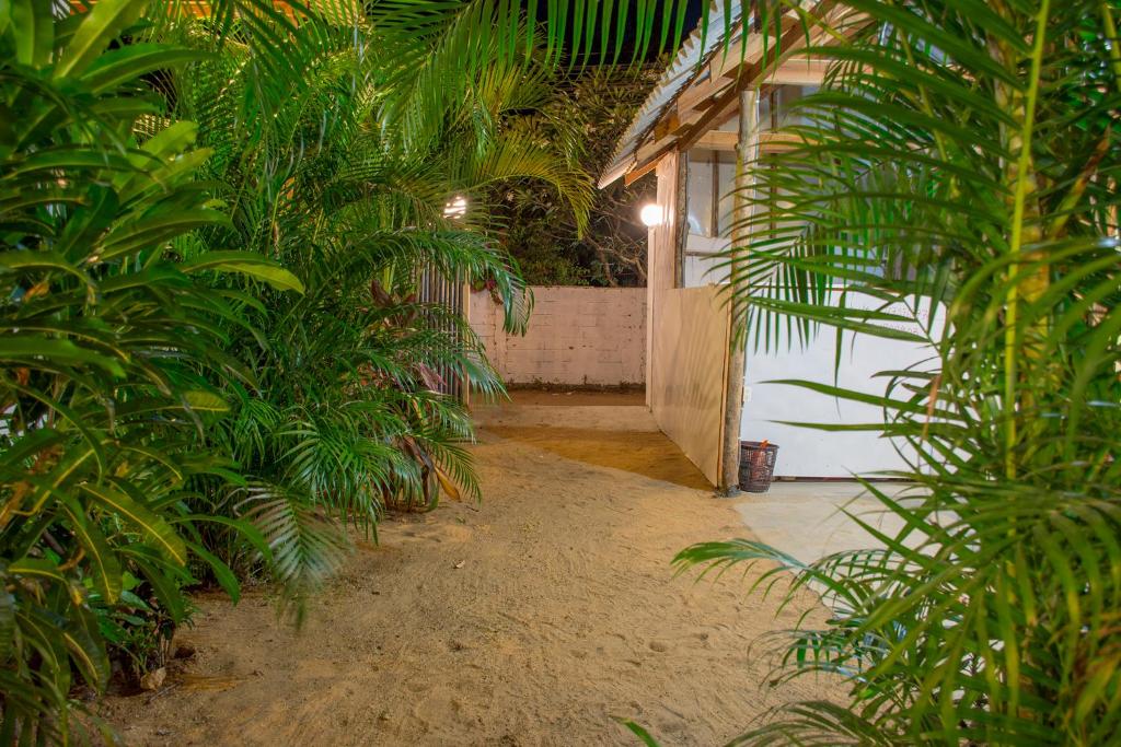 korytarz domu z palmami w obiekcie Eagle Resort Arugambay w mieście Arugam Bay