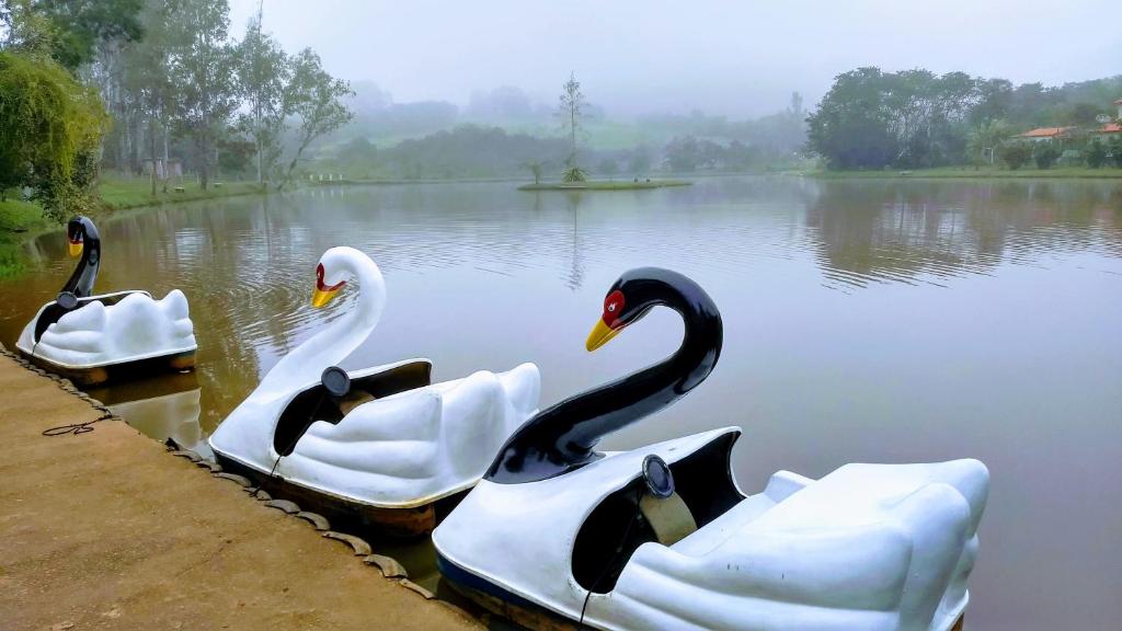  Hotel Fazenda Vista Alegre