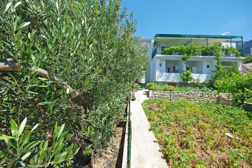 Jardin de l'établissement Apartmani Maslina