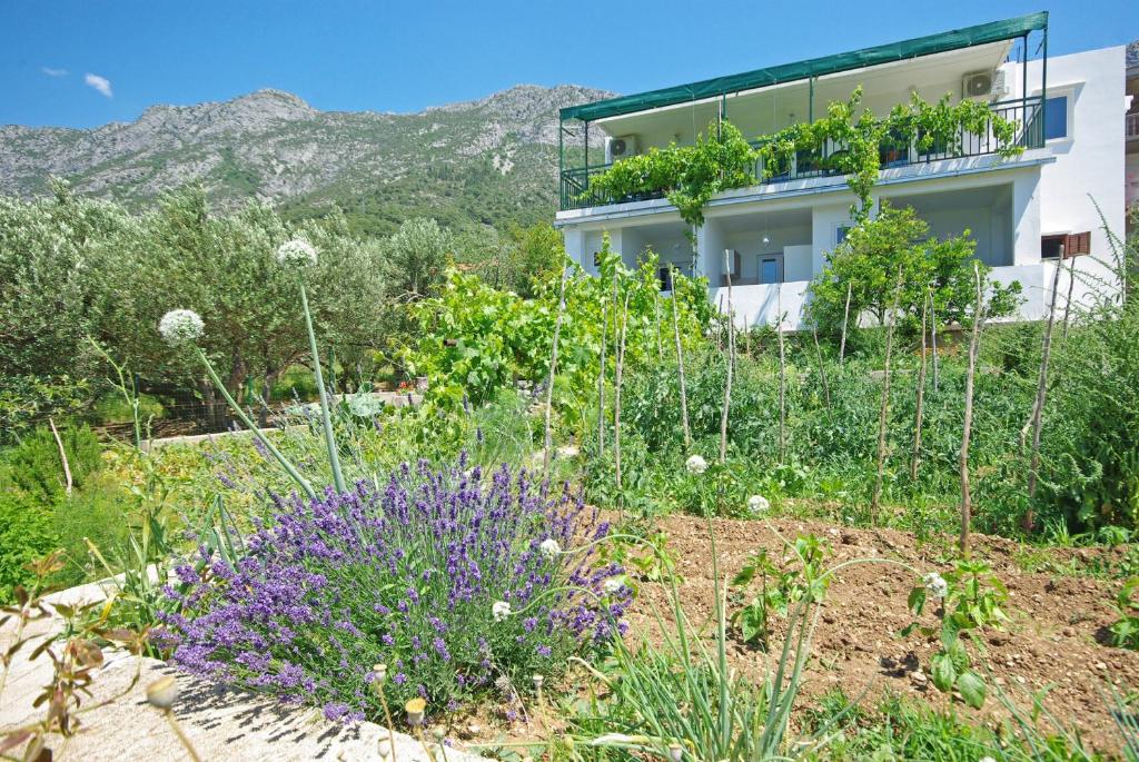 Vue générale sur la montagne ou vue sur la montagne depuis la maison d'hôtes