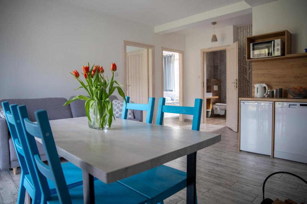 APARTAMENTY ZAZAMCZE - Appartement Avec Terrasse