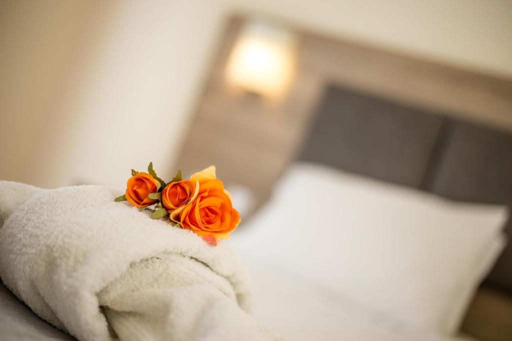 Patricia Suites - 13