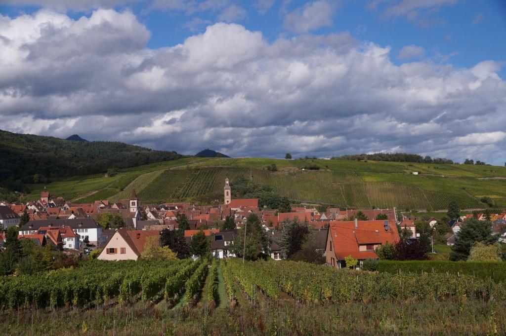 Gite Le Mandlé – photo 11