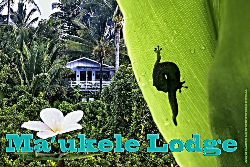 Pahoa的住宿－Ma'ukele Lodge，一只猴子在香蕉叶上,背着房子