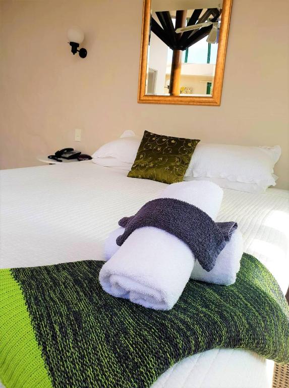 Parklane Motor Lodge - Resim 15