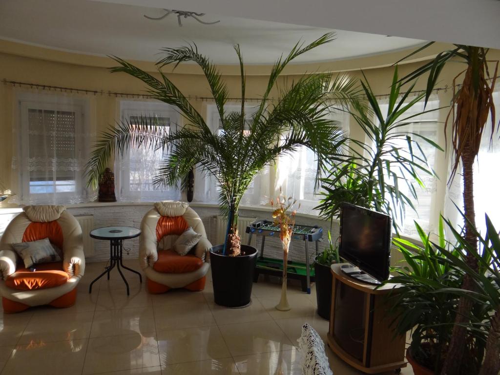 a living room with two chairs and palm trees at Korzeniowskiego 25 in Gdańsk