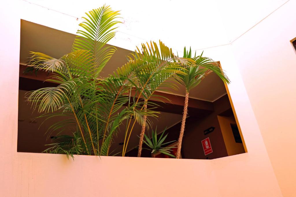 Fotografie z fotogalerie ubytování Hotel Bohemia v destinaci Lima