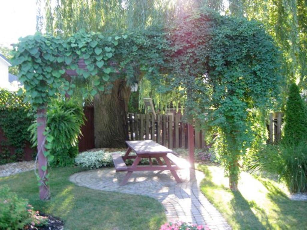Zahrada ubytování Canterbury Inn