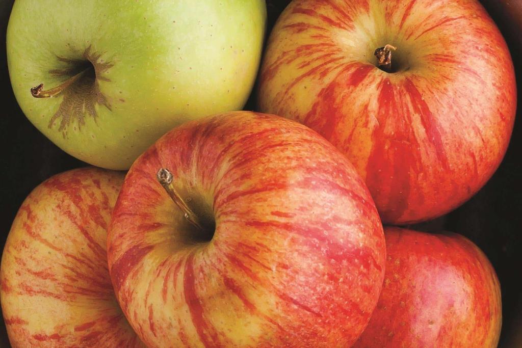 a pile of apples and a green apple at La Quinta Inn & Suites - New River Gorge National Park in Summersville