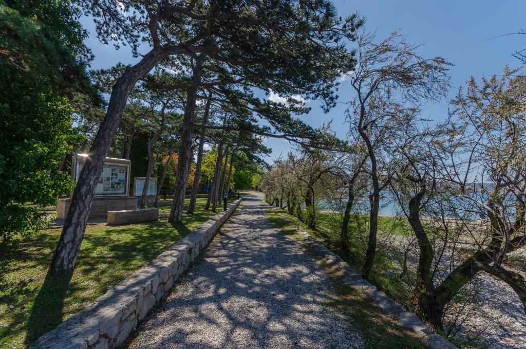 Príroda v okolí apartmánu