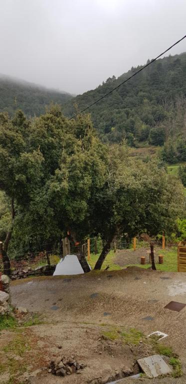 a tent in a field with trees and a mountain at camping l'agrottu au cœur de la corse restaurant creperie in Santa-Lucia-di-Mercurio