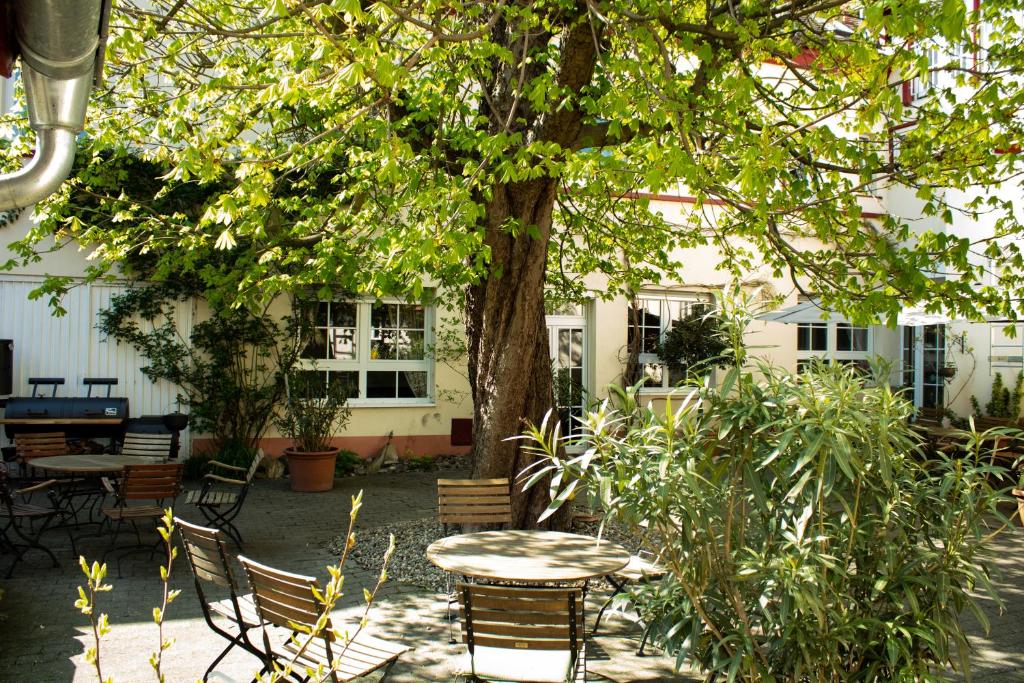 Zahrada ubytování Hotel Herberge zur Traube