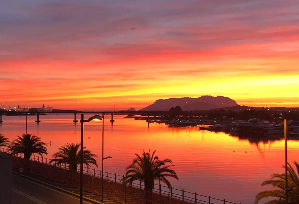a sunset over a body of water with palm trees at La Terrazza Guesthouse in Olbia