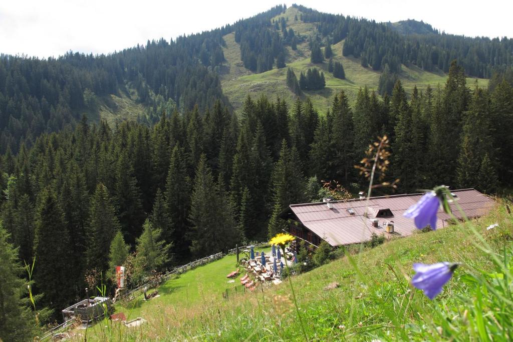 Příroda nedaleko bed and breakfast